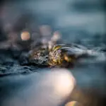 water droplets on body of water