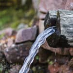 close-up-log-rock-forest